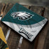 NFL Philadelphia Eagles Google Pixelbook Go Skin